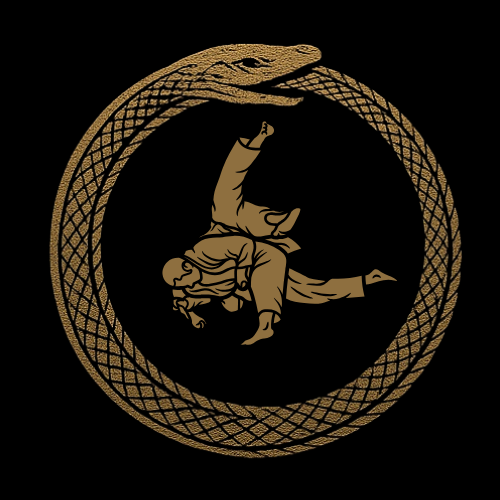 Judo Icon